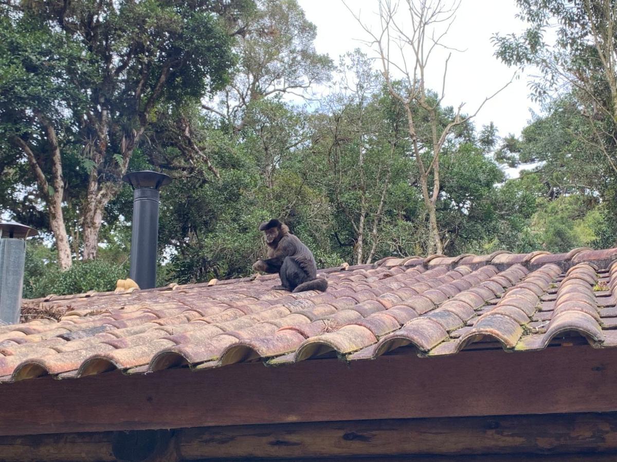 Do Vale Em Campos Do Jordao/sp Apartamento *
